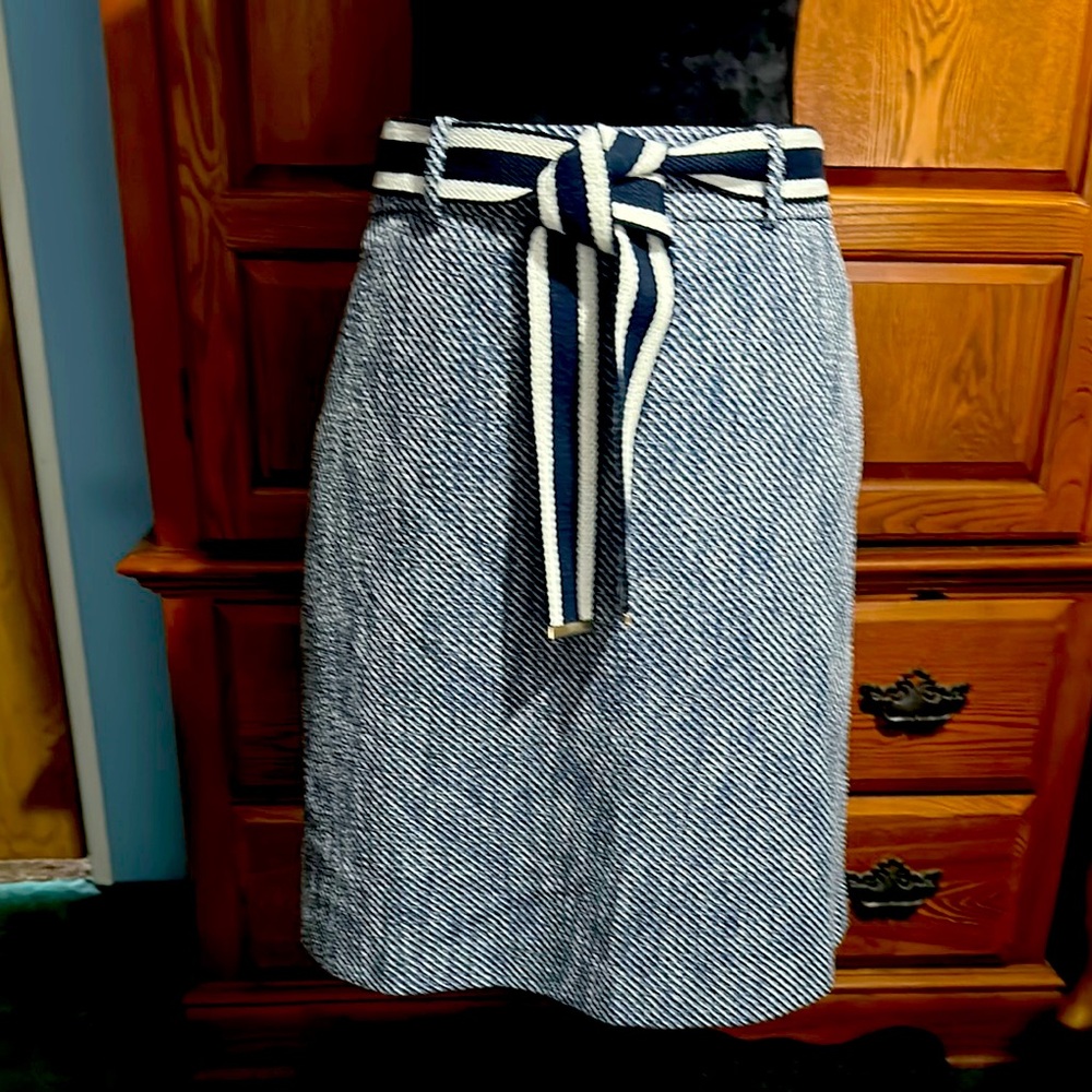Striped Blue and White Skirt
